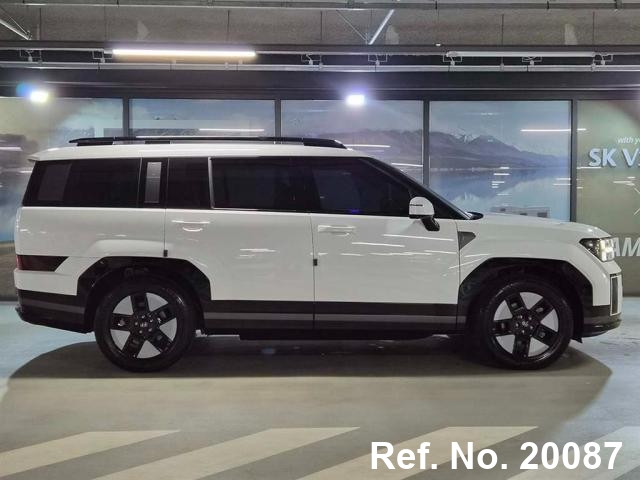  Hyundai / Santa FE Stock No. 20087